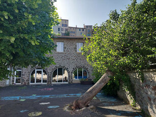 2022 06 19 arbre couché