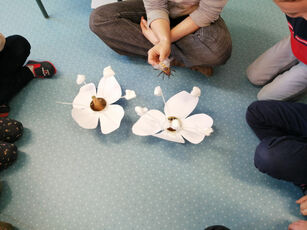 2023 03 14 Eveil à la nature avec les GS et les CP : les insectes et les fleurs