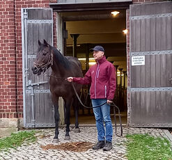 2023 10 26 B voyage du comité de jumelage à Krostitz :  Visite du haras