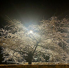 2023 12 02 photo neige