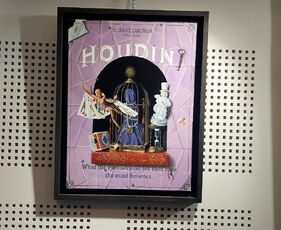 2024 03 16 Vernissage de l'exposition de  Gregory Asselbergh : un tableau