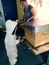 2024 03 18 Découverte du  monde des abeilles à l'école