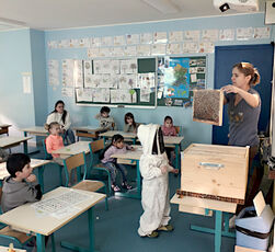 2024 03 18 Découverte du  monde des abeilles à l'école