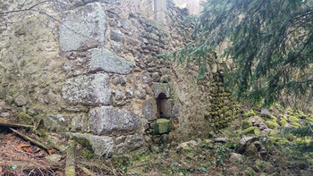 Arboulet3