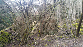 Arboulet6