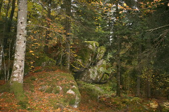 La roche Martine
