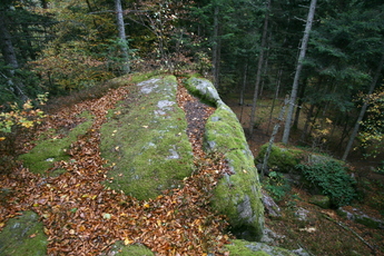 La roche Martine