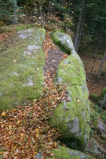 La roche Martine