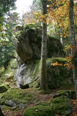 La roche Martine