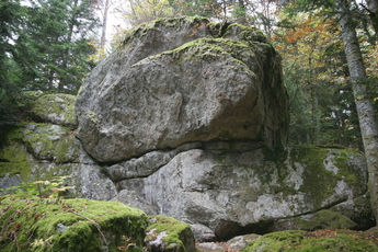 La roche Martine