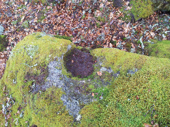 Pierres à bassins - Rochebeau