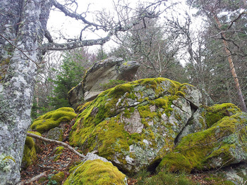 Pierres à bassins - Rochebeau