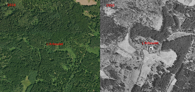 L'Arboulet en 2016 et en 1950