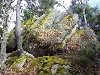 Bénitier de l'Arbre vue du rocher qui contient le bénitier