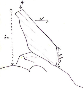 p11-la tuberturade