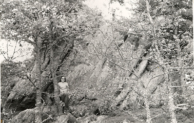 p15-16-Bénitier de l'Arbre