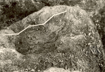 p15-16 Bénitier de l'Arbre