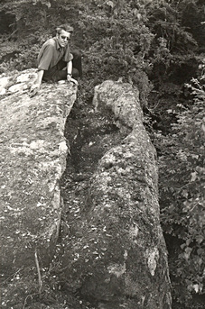 p20 roche Martine