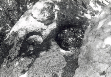 p6-photo-bassin-couvercle