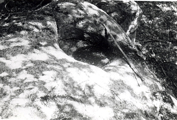 p8-rochebeau1