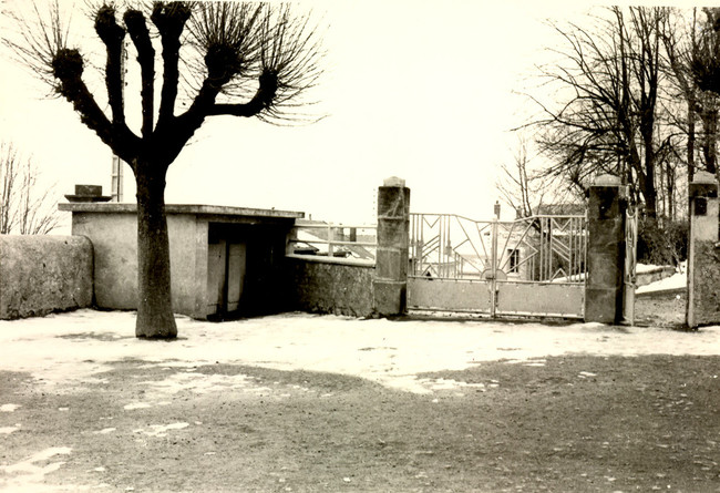 photo5-cour